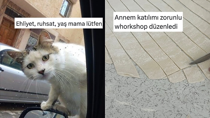 Günlük Hayatta Karşılaştıkları Manzaralardan Mizah Çıkaran Twitter Kullanıcıları