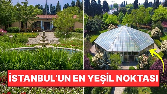 İstanbul'un Doğayla Buluşma Noktası: Zeytinburnu Tıbbi Bitkiler Bahçesi