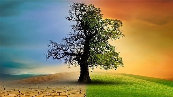 5. Hangi iklim sana daha uygun?