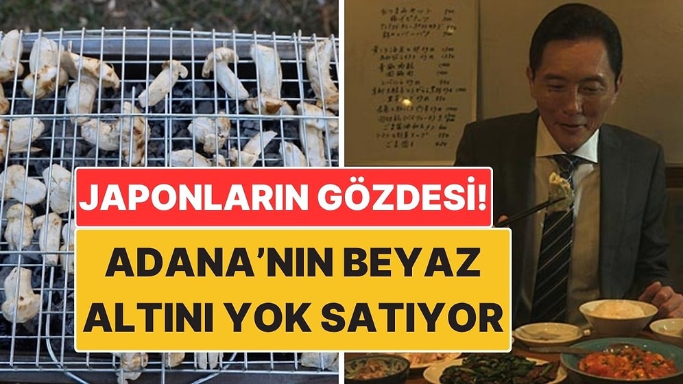 Japonya'nın Gözdesi Oldu: Adana'nın Beyaz Altını Sedir Mantarı Kapış Kapış Gidiyor!