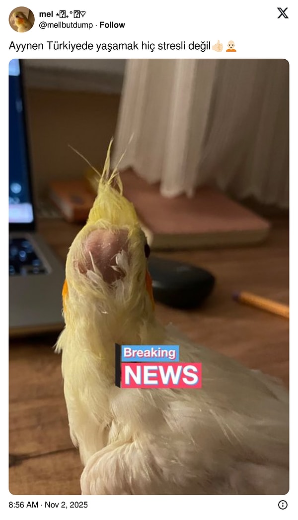 Hem de tepeden açılmış.