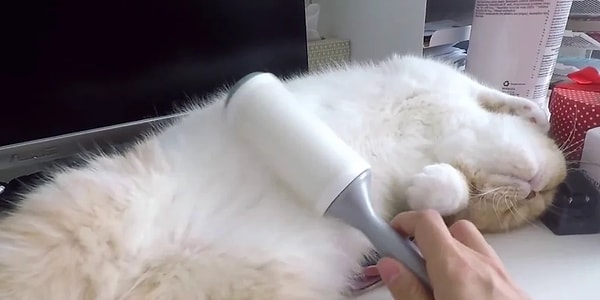 4. Tüy Toplayıcı Rulo