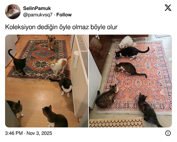 Koleksiyon diye buna deriz işte!