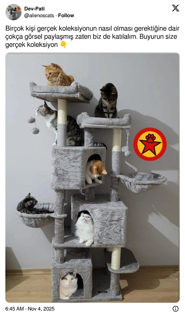 Maslow'un ihtiyaçlar hiyerarşisi. Tepede yine sarman var.