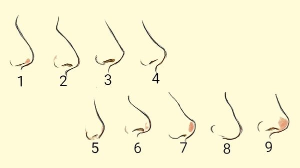 Which of these is your nose shape closest to?