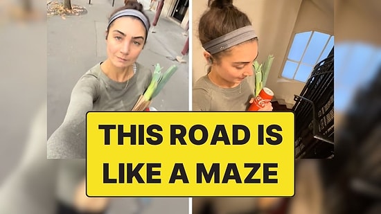 A Woman's Struggle to Get to Her Home in Paris Went Viral!