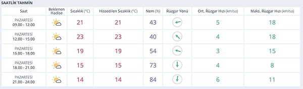 Meteoroloji 17 Kasım Adana hava durumu raporunu yayınladı.