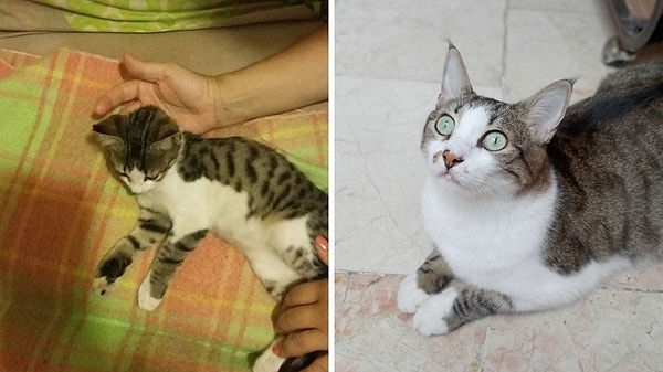 7. Zaten güzelmiş ama sevgiyle bakılınca daha da güzel olmuş!