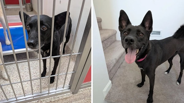 6. Yüzdeki şu gülüş her şeye bedel...