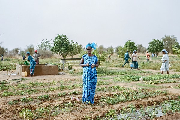 Büyük Yeşil Hayaller - Senegal’in Kurak Ovaları