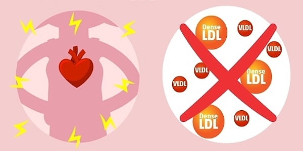 5. Kolesterol dengesini düzenleyerek damarları koruyor.