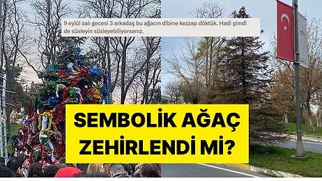 Her Yılbaşında Süslenen YTÜ'nün Sembol Ağacı Yıldızlı Ağaç Zehirlendi mi?