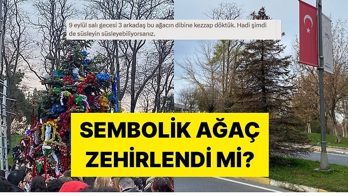 Her Yılbaşında Süslenen YTÜ'nün Sembol Ağacı Yıldızlı Ağaç Zehirlendi mi?