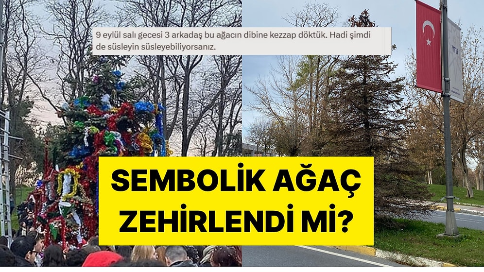 Her Yılbaşında Süslenen YTÜ'nün Sembol Ağacı Yıldızlı Ağaç Zehirlendi mi?