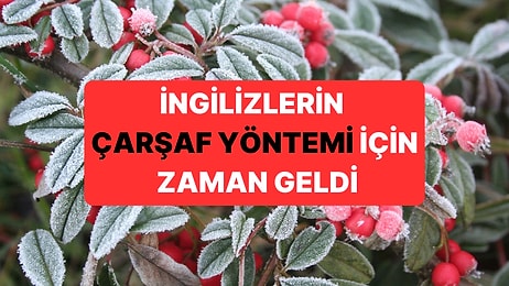 İngiltere'de Yaşayanlara "Bahçenize Bir Çarşaf Serin" Uyarısı