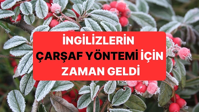 İngiltere'de Yaşayanlara "Bahçenize Bir Çarşaf Serin" Uyarısı