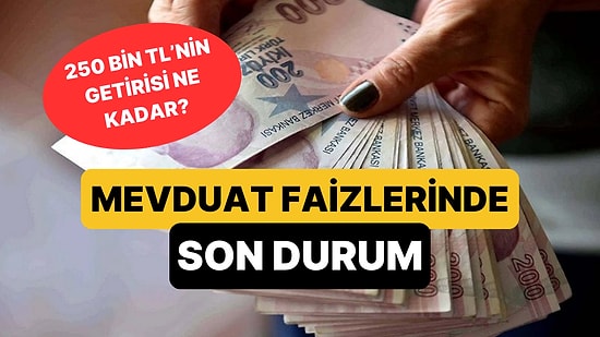 Mevduat Faizleri Yüzde 46'ya Kadar Çıkıyor: Peki 250 Bin TL'nin Aylık Getirisi Ne Kadar?