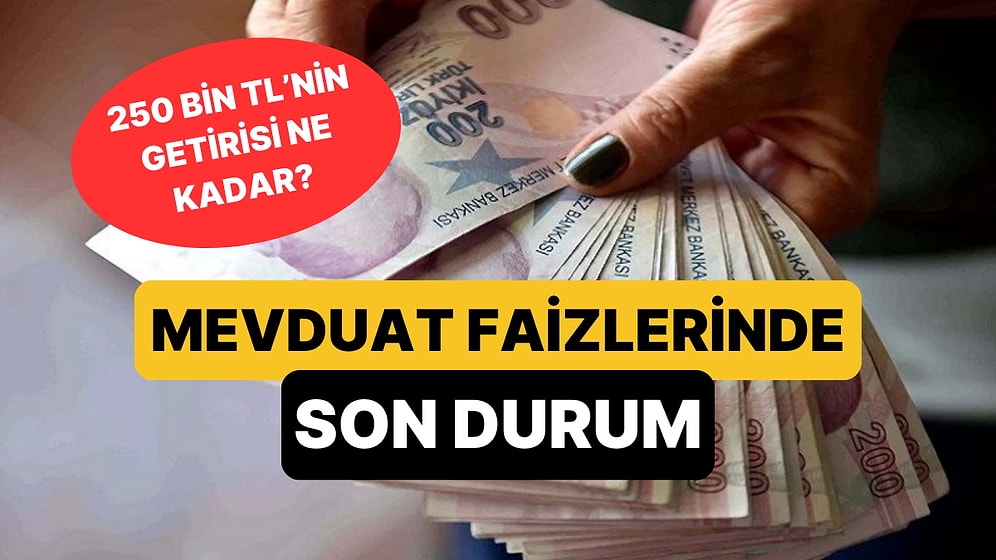 Mevduat Faizleri Yüzde 46'ya Kadar Çıkıyor: Peki 250 Bin TL'nin Aylık Getirisi Ne Kadar?