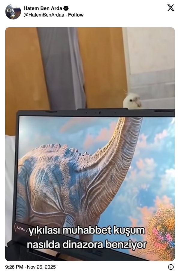 Yılın kelimesi: yıkılası