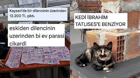 Ekonominin Bitmesinden Ünlü Benzeri Kedilere Son 24 Saatin Viral Tweetleri