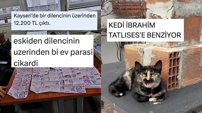 Ekonominin Bitmesinden Ünlü Benzeri Kedilere Son 24 Saatin Viral Tweetleri