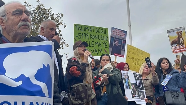 Hayvanseverler Pazar günü Kadıköy'de bu karara tepki gösterdi.