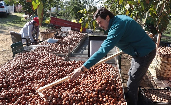 Burak Hakkı - Çanakkale, Güneyli Köyü