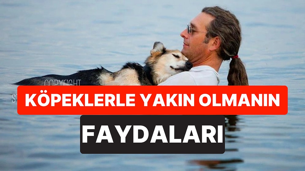 Bilim İnsanları Açıkladı: Köpeklerin Sahibini Yalaması Ruh Sağlığını Güçlendiriyor