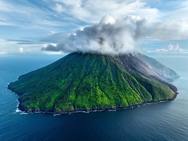 Deniz mercanlarını koruyalım!