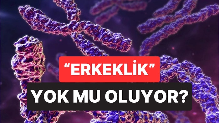 Bilim İnsanları Açıkladı: Erkek Cinsiyetini Belirleyen Y Kromozomu Risk Altında