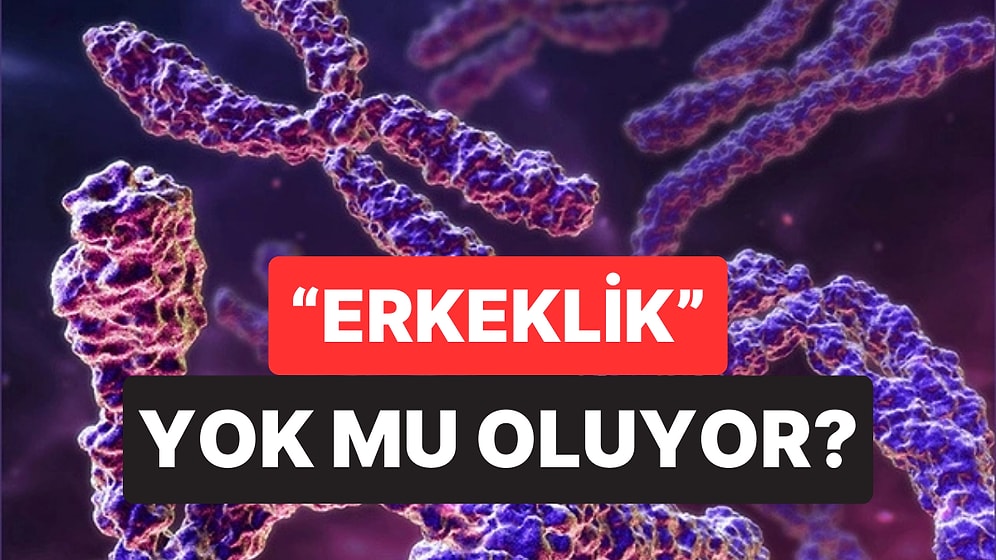 Bilim İnsanları Açıkladı: Erkek Cinsiyetini Belirleyen Y Kromozomu Risk Altında