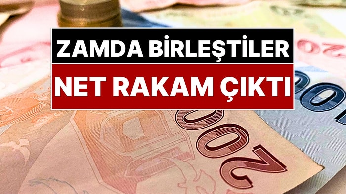 Uzmanlar Asgari Ücret Zammında Birleşti: Ortaya Tek Rakam Çıktı