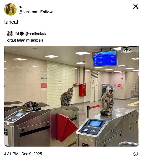 Taricat olmuş bunlar...