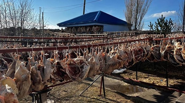 Başta İstanbul olmak üzere gurbetteki Karslılara gönderilecek olan 900 kaz paketlenmek için hazırlanıyor.