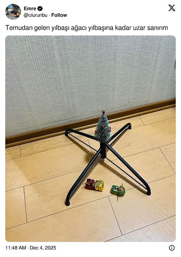 Düzenli sulaman lazım.