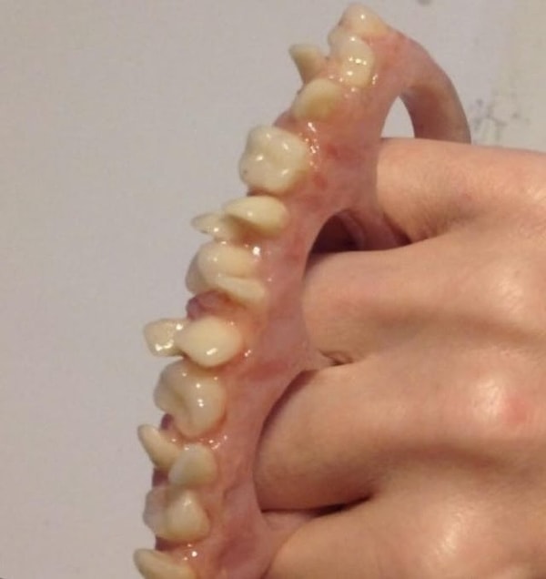 8. Beterin beteri vardır...