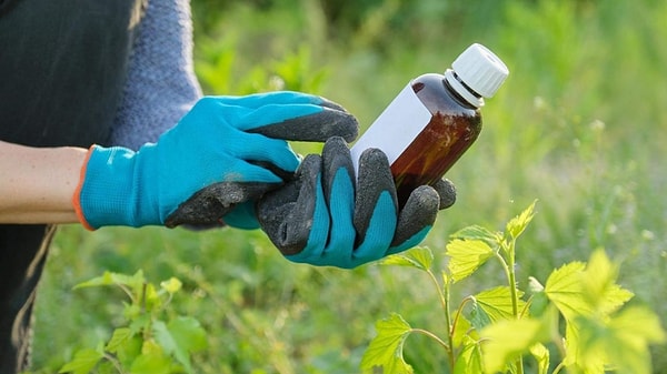 Satış zincirinde de köklü değişiklik yapıldı
