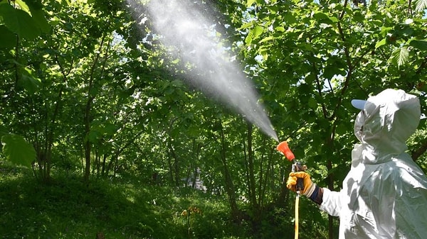 İnternetten satış ve reklam tamamen yasaklandı, cezalar netleşti