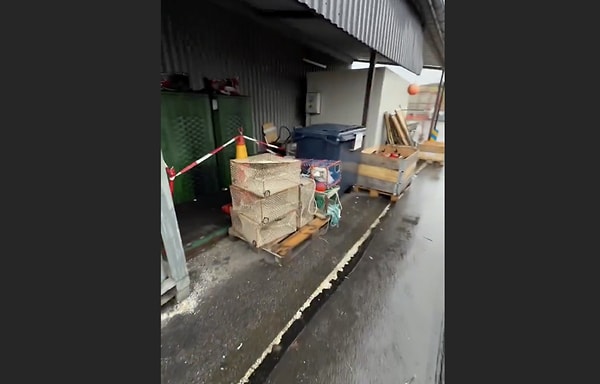 İsveç'te geri dönüşümün ülkeye katkısı ne kadar?