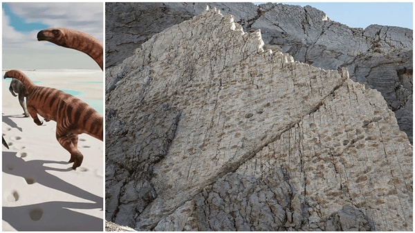 Kuzey İtalya'daki Stelvio Milli Parkı'nın sarp yamaçlarında, yaklaşık 210 milyon yıl öncesine ait olduğu belirlenen devasa bir dinozor ayak izi alanı keşfedildi.