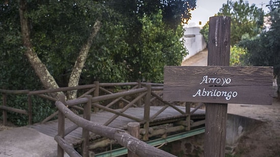 The World's Shortest International Bridge: Changing Countries Takes Seconds