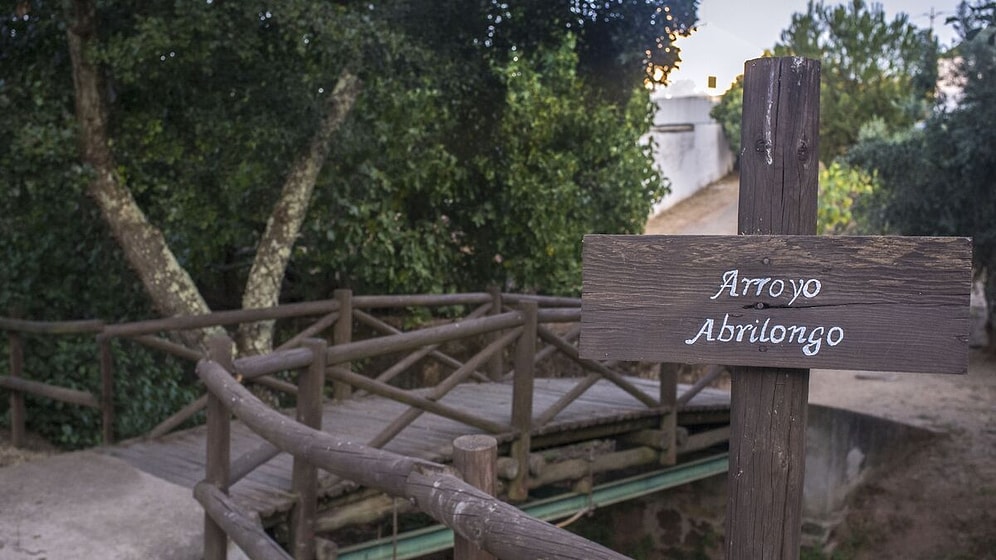 The World's Shortest International Bridge: Changing Countries Takes Seconds