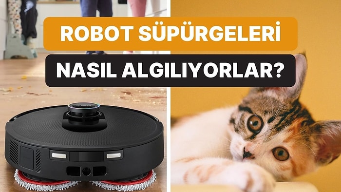 Evcil Hayvanlar Evdeki Robot Süpürgeyi Nasıl Algılıyor? Ne Olarak Görüyorlar?