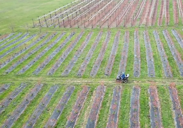 Başlangıçta tecrübesizlikten kaynaklanan birçok engelle karşılaşsalar da, azimleri her türlü zorluğun önüne geçti.