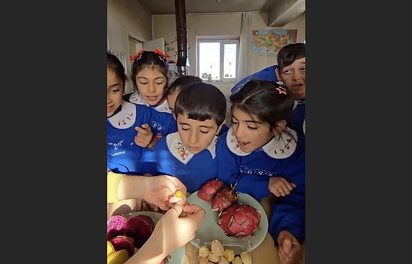 "Bunun adı küçük domates"