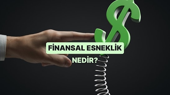 Finansal Esneklik Ne Anlama Geliyor? Günümüz Dünyasında Nasıl Şekillendi?