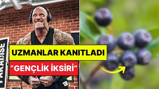Marketten Onu Almadan Çıkmayın: Bu Süper Meyvenin Yaşlanma Karşıtı Etkileri Kanıtlandı