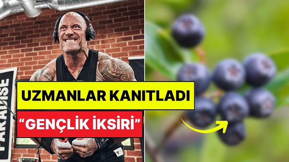Marketten Onu Almadan Çıkmayın: Bu Süper Meyvenin Yaşlanma Karşıtı Etkileri Kanıtlandı