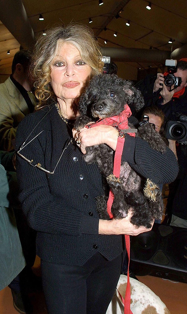 Brigitte Bardot’un Unutulmaz Filmleri