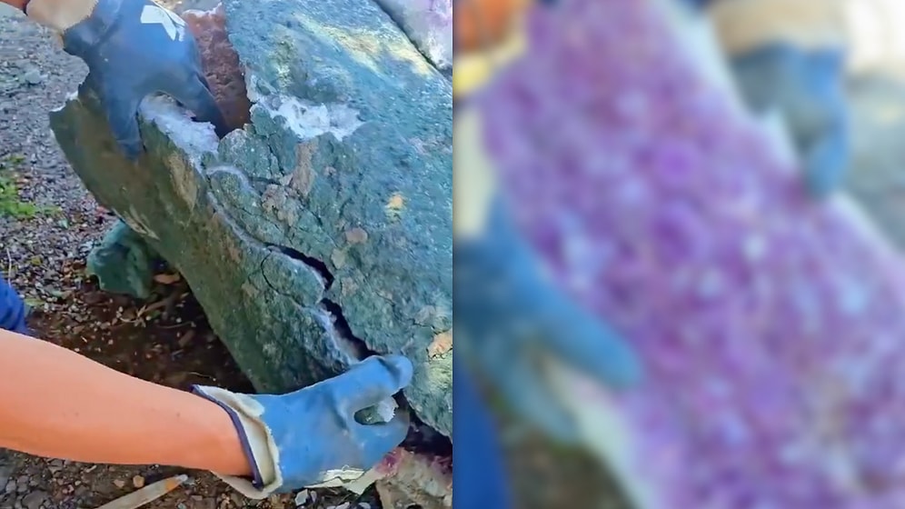 He Couldn't Believe What He Found Inside the Stone He Discovered in the Forest